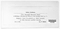Image Associated With the Occurence
